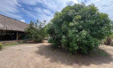 Venta de casa campestre El Faro 2, Montería: 4 habitaciones, 3 baños y lote de 4.800 m² salón grande y kioskos de lujo