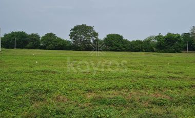 Lotes residenciales en Cereté, invierte y construye como siempre soñaste