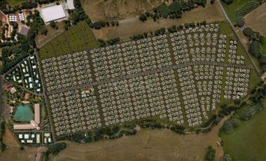 Lotes Campestres en Nativo: Desde 1.056 m² a 5 Min de Montería, zona de alta proyección y valorización