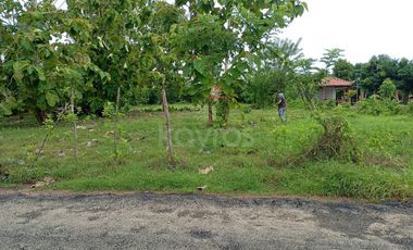Oportunidad de inversión: Lote de 3000 m² en venta en Montería sector Los Pericos, zona de alta valorización empresarial