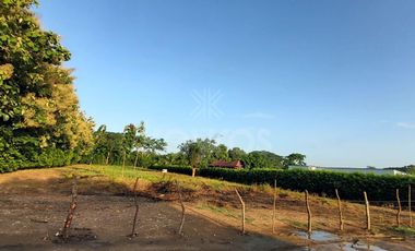 Oportunidad de inversión: Lote de 3000 m² en venta en Montería sector Los Pericos, zona de alta valorización empresarial