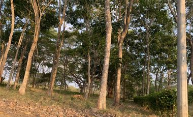 Ágape: Lotes campestre desde 1.007 m² en la vía Las Lamas Montería construye tu Hogar