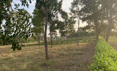 Ágape: Lotes campestre desde 1.007 m² en la vía Las Lamas Montería construye tu Hogar