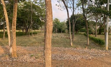 Ágape: Lotes campestre desde 1.007 m² en la vía Las Lamas Montería construye tu Hogar