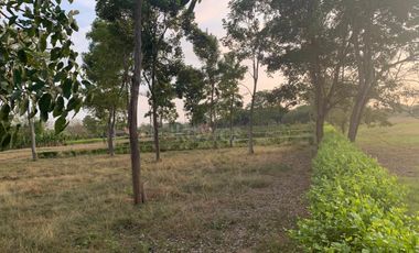 Ágape: Lotes campestre desde 1.007 m² en la vía Las Lamas Montería construye tu Hogar