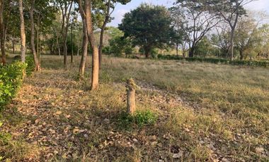 Ágape: Lotes campestre desde 1.007 m² en la vía Las Lamas Montería construye tu Hogar