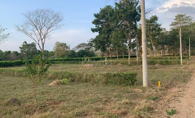 Ágape: Lotes campestre desde 1.007 m² en la vía Las Lamas Montería construye tu Hogar