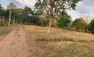 Ágape: Lotes campestre desde 1.007 m² en la vía Las Lamas Montería construye tu Hogar
