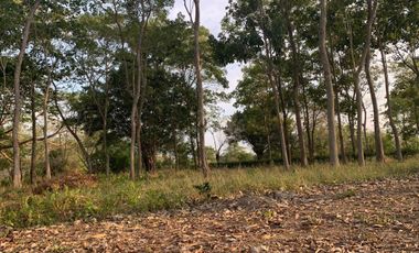 Ágape: Lotes campestre desde 1.007 m² en la vía Las Lamas Montería construye tu Hogar