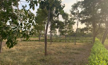 Ágape: Lotes campestre desde 1.007 m² en la vía Las Lamas Montería construye tu Hogar