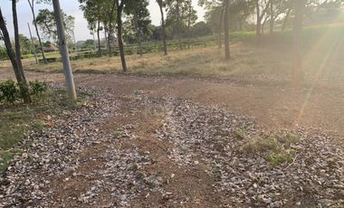 Ágape: Lotes campestre desde 1.007 m² en la vía Las Lamas Montería construye tu Hogar