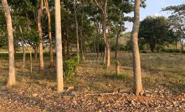 Ágape: Lotes campestre desde 1.007 m² en la vía Las Lamas Montería construye tu Hogar