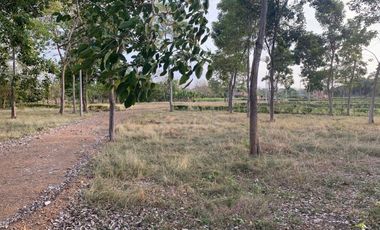 Ágape: Lotes campestre desde 1.007 m² en la vía Las Lamas Montería construye tu Hogar