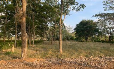 Ágape: Lotes campestre desde 1.007 m² en la vía Las Lamas Montería construye tu Hogar