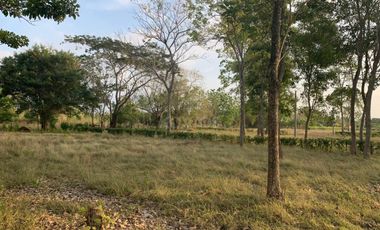 Ágape: Lotes campestre desde 1.007 m² en la vía Las Lamas Montería construye tu Hogar