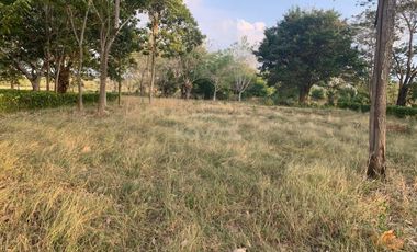 Ágape: Lotes campestre desde 1.007 m² en la vía Las Lamas Montería construye tu Hogar
