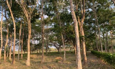 Ágape: Lotes campestre desde 1.007 m² en la vía Las Lamas Montería construye tu Hogar