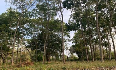 Ágape: Lotes campestre desde 1.007 m² en la vía Las Lamas Montería construye tu Hogar