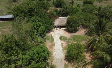 Casa finca en venta cerca de Ciénaga de Oro: 2 Hectáreas, árboles frutales y oportunidad de inversión