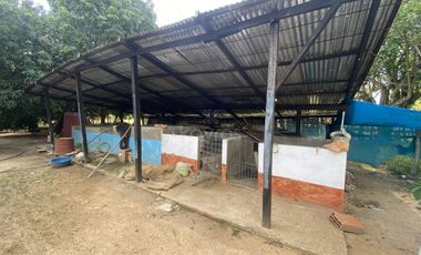 Casa finca en venta cerca de Ciénaga de Oro: 2 Hectáreas, árboles frutales y oportunidad de inversión