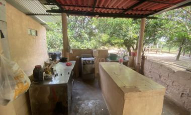 Casa finca en venta cerca de Ciénaga de Oro: 2 Hectáreas, árboles frutales y oportunidad de inversión