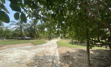 Casa finca en venta cerca de Ciénaga de Oro: 2 Hectáreas, árboles frutales y oportunidad de inversión