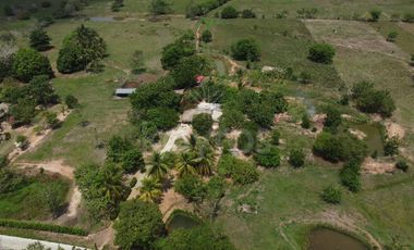 Casa finca en venta cerca de Ciénaga de Oro: 2 Hectáreas, árboles frutales y oportunidad de inversión