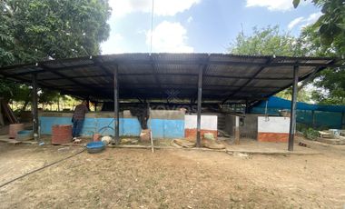 Casa finca en venta cerca de Ciénaga de Oro: 2 Hectáreas, árboles frutales y oportunidad de inversión