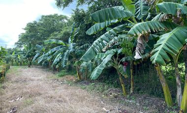 Venta de Vivienda Campestre en Berástegui a 5km de Cerete
