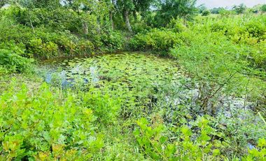 Venta de Vivienda Campestre en Berástegui a 5km de Cerete