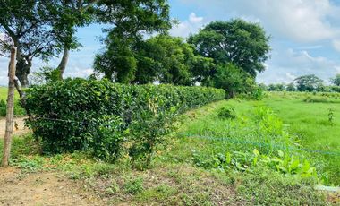 Venta de Vivienda Campestre en Berástegui a 5km de Cerete