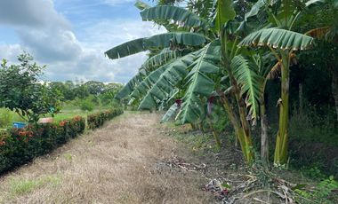Venta de Vivienda Campestre en Berástegui a 5km de Cerete