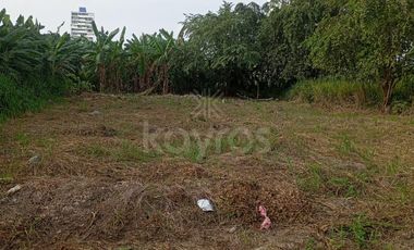 Vendo lote en el norte de Montería, barrio San Francisco