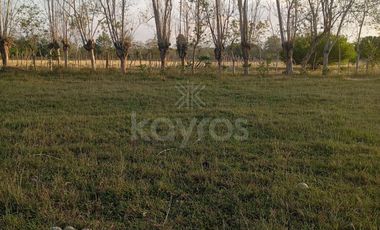 vendo lotes en faro 4, noroeste, Montería Córdoba