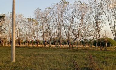 vendo lotes en faro 4, noroeste, Montería Córdoba