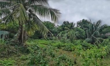 Oportunidad de inversión en San Roque, Sahagún: Lote amplio de 808 m² en zona de crecimiento y alta valorización