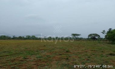 4 hectáreas de terreno en Tierralta