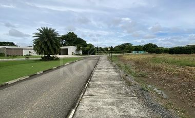 Lotes campestres en Balmoral: a solo 6 min de Montería, inversión segura