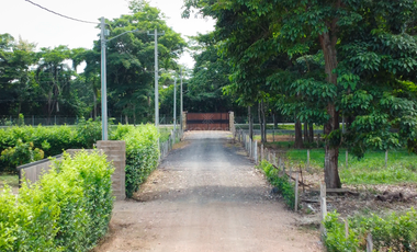 Lotes Campestres en Altos de Beraca - desde 1200m² en vía Arboletes, Montería