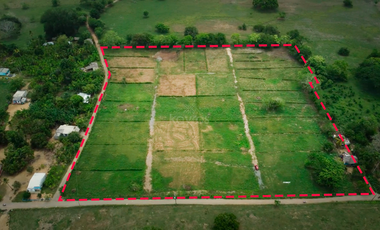 Lotes campestres desde 1000 m2 en el Sabanal, Montería
