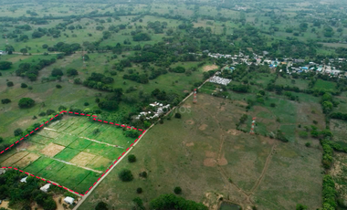 Lotes campestres desde 1000 m2 en el Sabanal, Montería