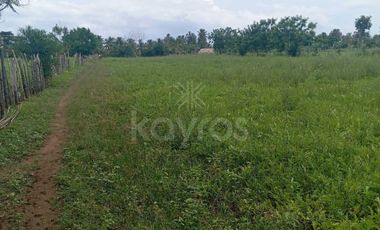 Gran oportunidad: Terreno en venta con acceso directo al mar y carretera en San Bernardo