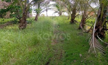 Gran oportunidad: Terreno en venta con acceso directo al mar y carretera en San Bernardo