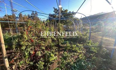 Casablanca, Los Maitenes.