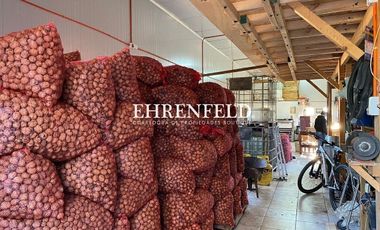 Casablanca, Los Maitenes.