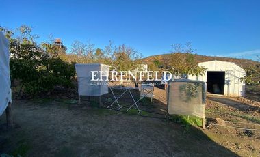 Casablanca, Los Maitenes.