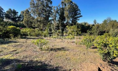 Oportunidad: Vende terreno en los pinos