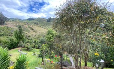 Arriendo - Espectacular casa de lujo en Sindamanoy, Chía