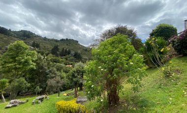 Arriendo - Espectacular casa de lujo en Sindamanoy, Chía