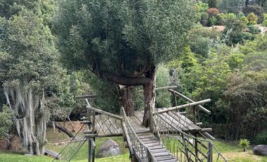 Arriendo - Espectacular casa de lujo en Sindamanoy, Chía